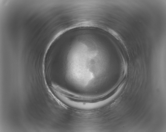 X0000052971334200508051004