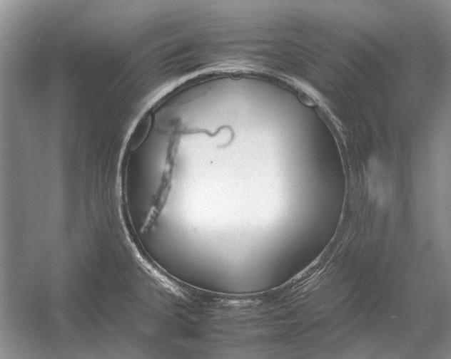 X0000052971335200508051004