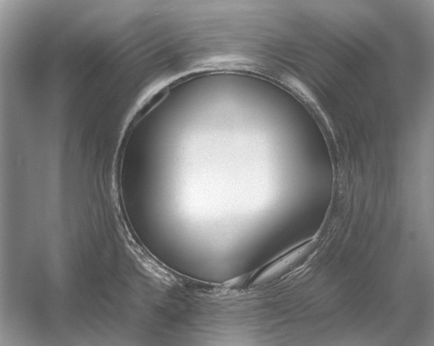 X0000052971336200508051004