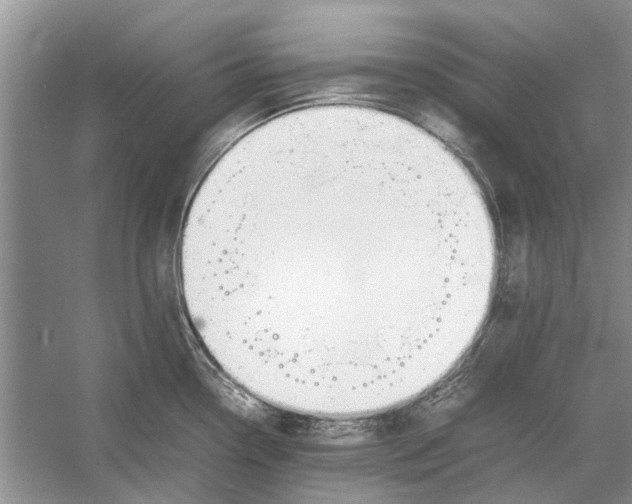 X0000052971338200508051004