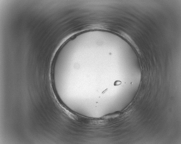 X0000052971339200508051004