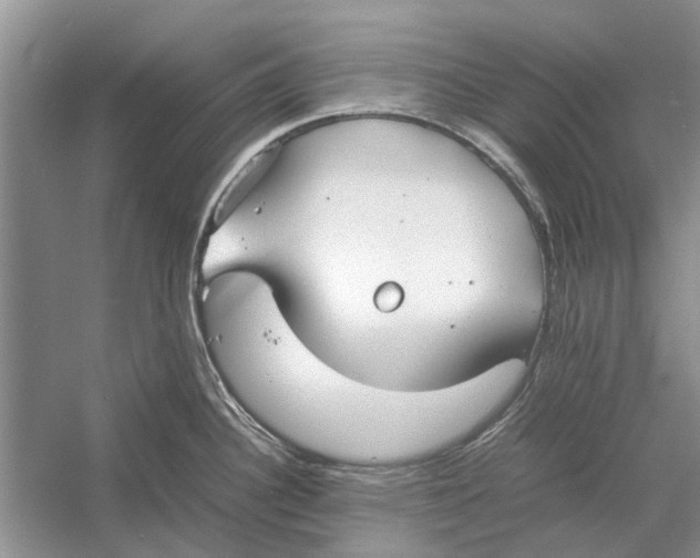 X0000052971340200508051004