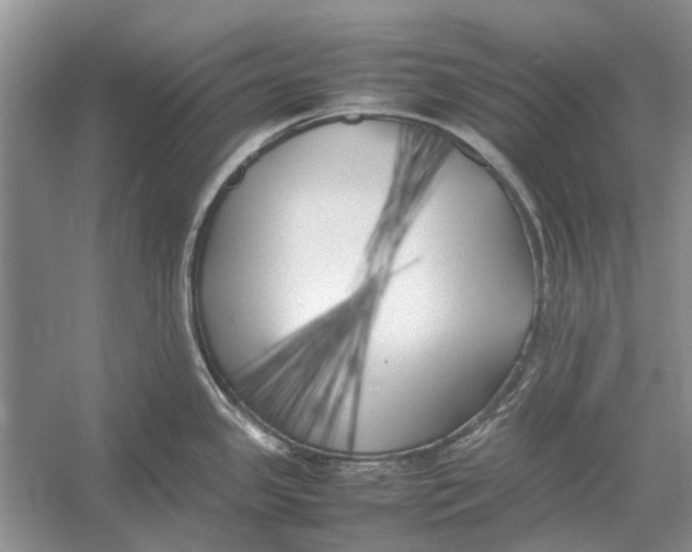 X0000052971341200508051004