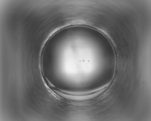 X0000052971342200508051004