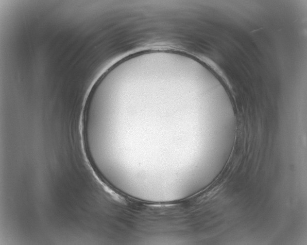 X0000052971343200508051004