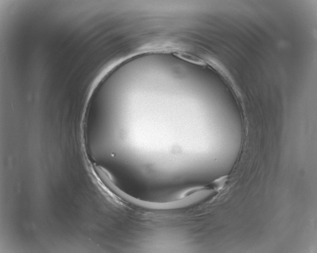 X0000052971344200508051004