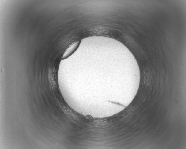 X0000052971346200508051004