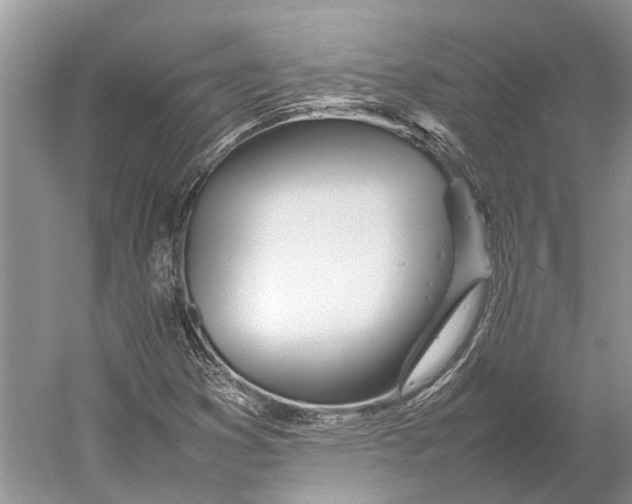 X0000052971353200508051004