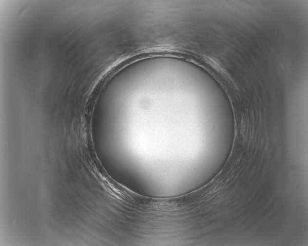 X0000052971356200508051003