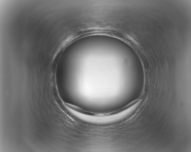 X0000052971357200508051003