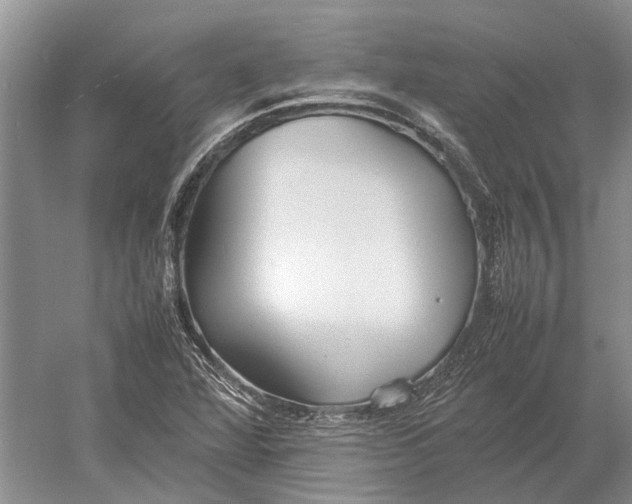 X0000052971360200508051003