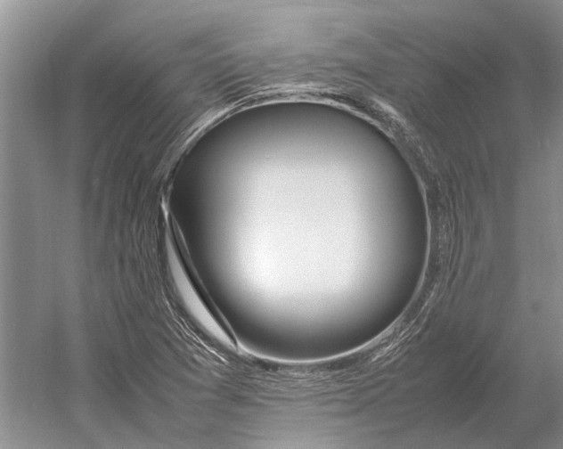 X0000052971361200508051003