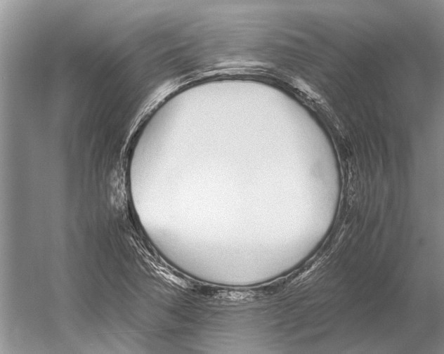 X0000052971362200508051003