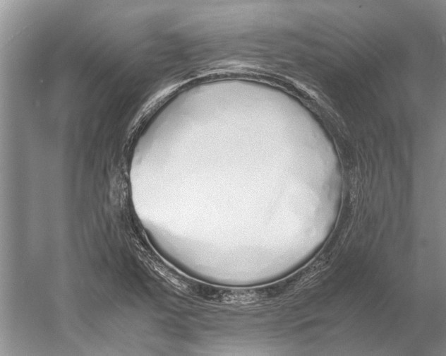 X0000052971363200508051003