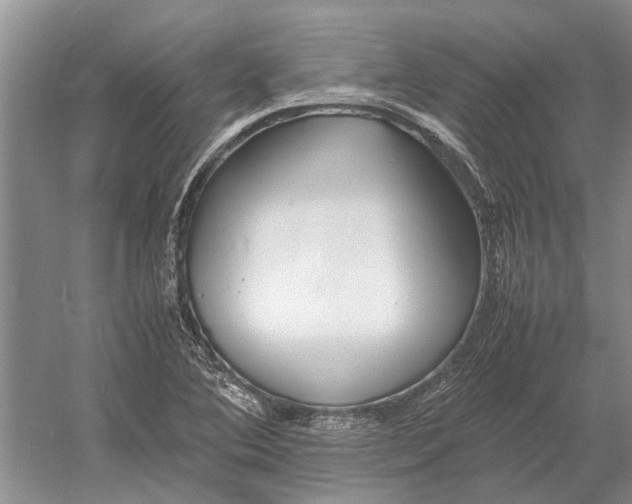 X0000052971364200508051003