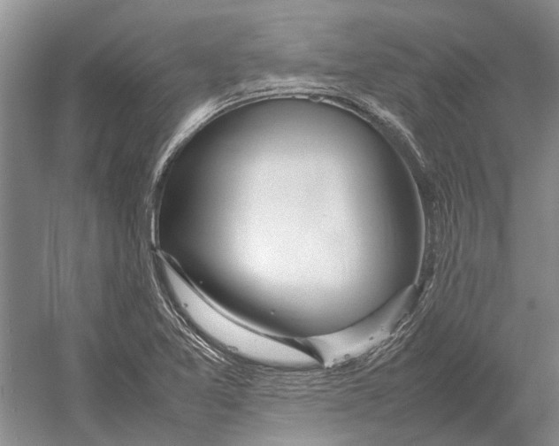 X0000052971365200508051003