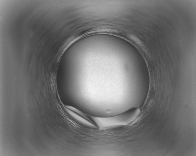 X0000052971369200508051003