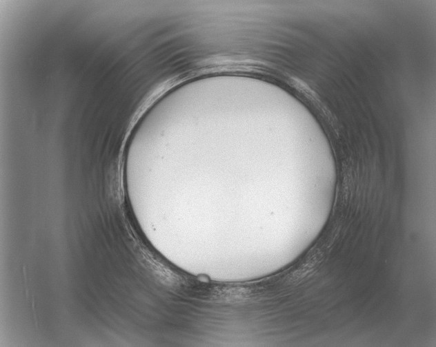 X0000052971370200508051003