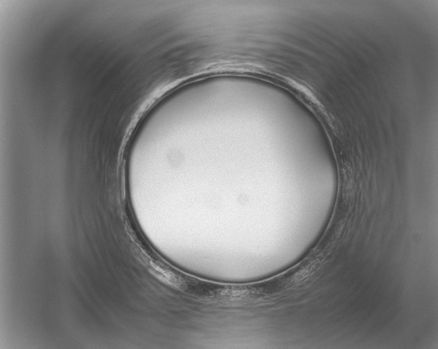 X0000052971371200508051003