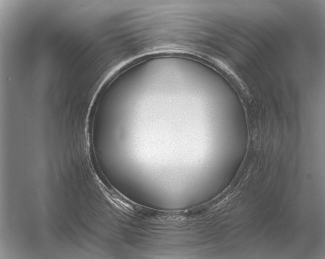 X0000052971372200508051003