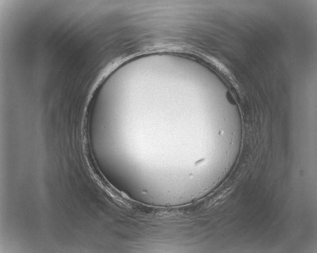 X0000052971373200508051003