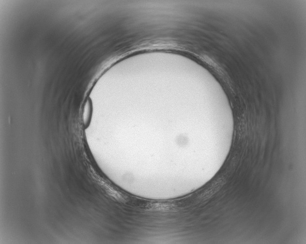 X0000052971374200508051003