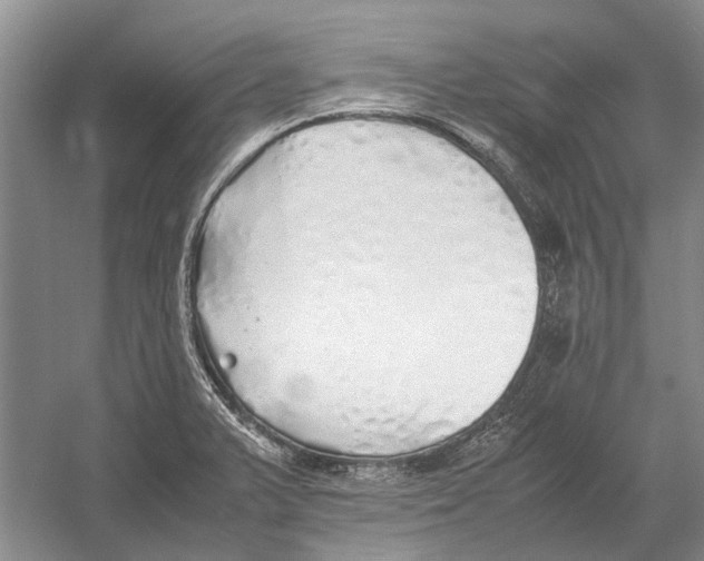 X0000052971375200508051003