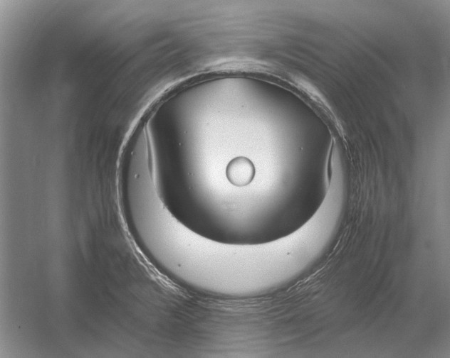 X0000052971376200508051003