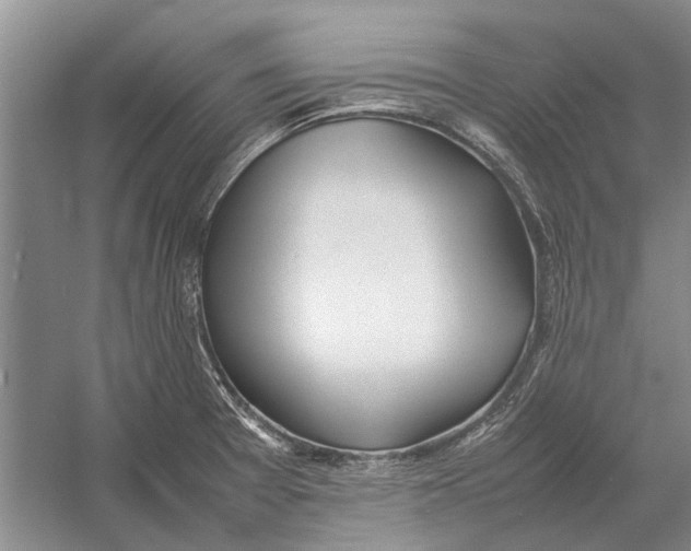 X0000052971377200508051003