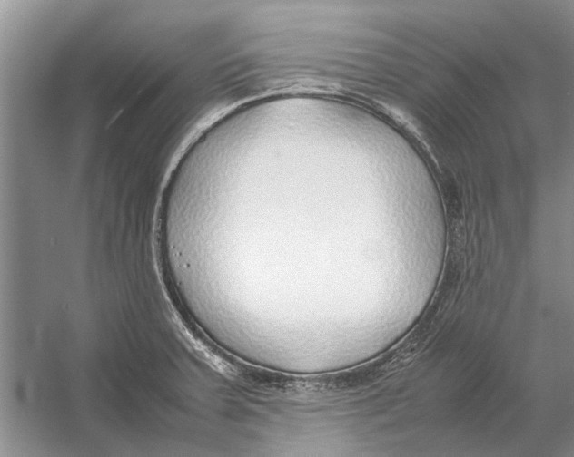 X0000052971379200508051003