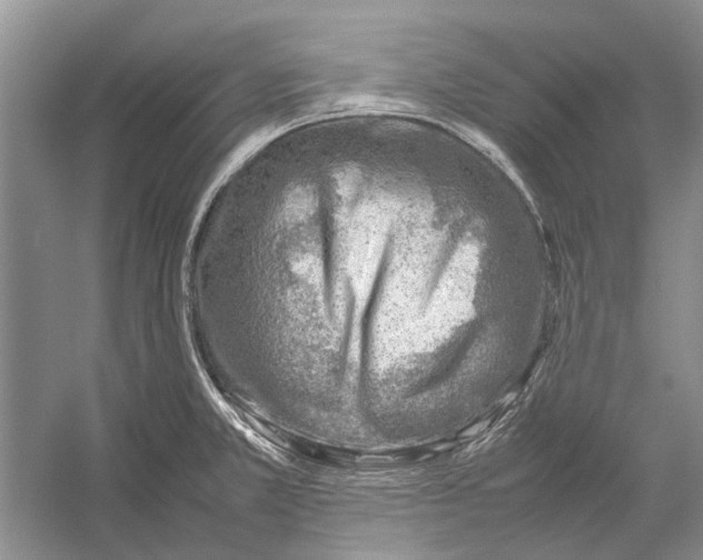 X0000052971381200508051003