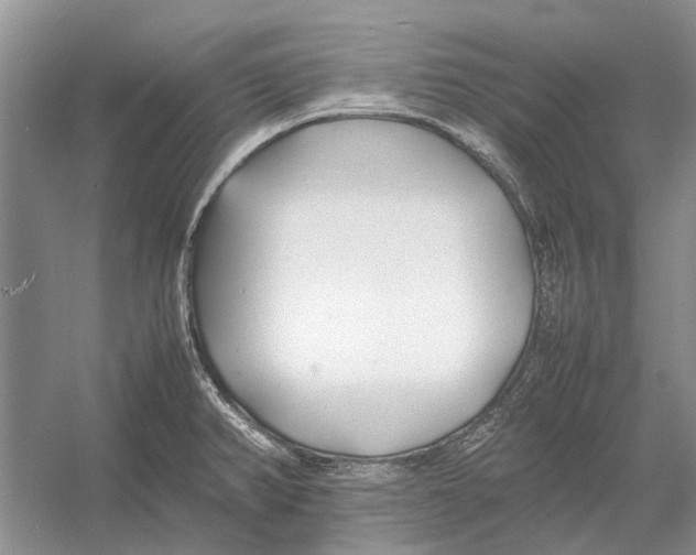 X0000052971382200508051003