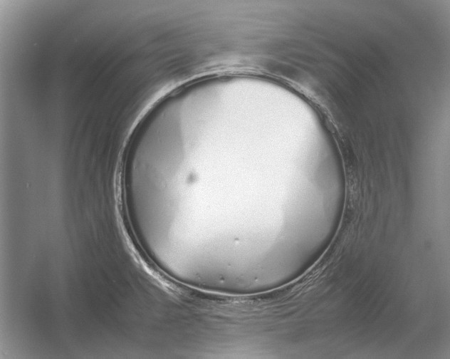 X0000052971383200508051003