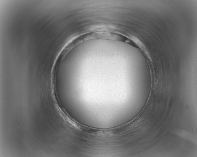 X0000052971384200508051003