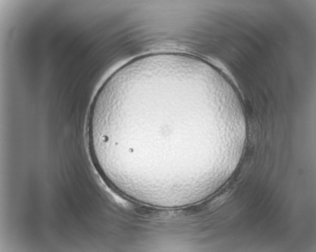 X0000052971387200508051003