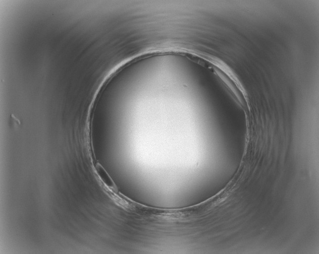 X0000052971388200508051003