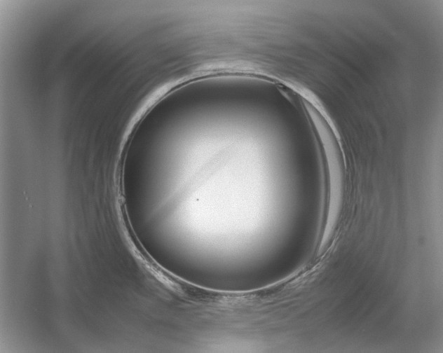 X0000052971389200508051003