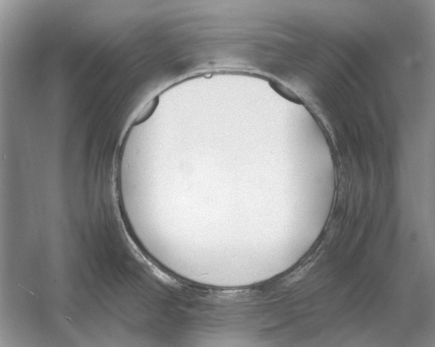 X0000052971390200508051003