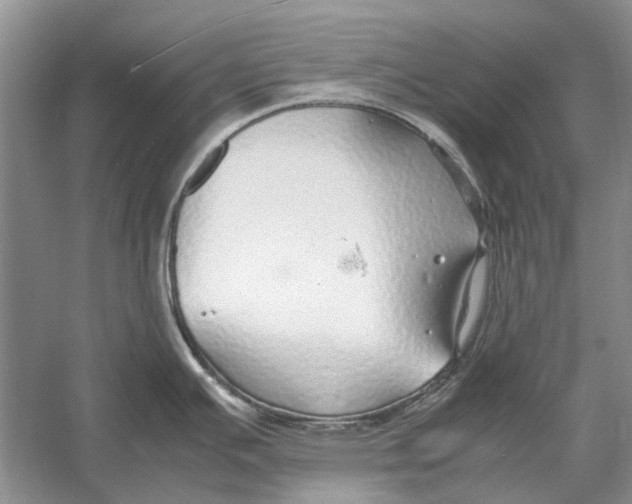 X0000052971391200508051003