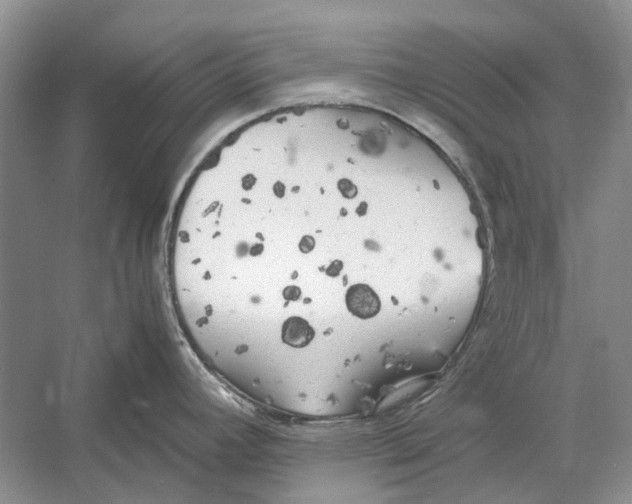 X0000052971392200508051003