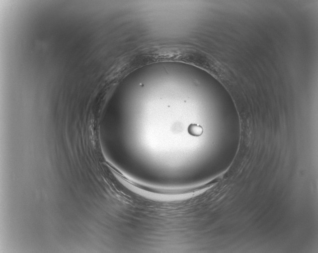 X0000052971394200508051002