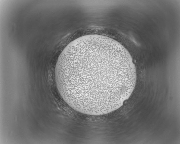 X0000052971397200508051002