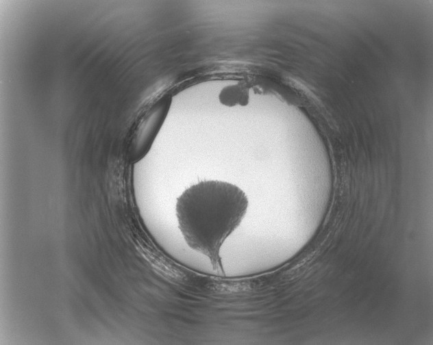 X0000052971403200508051002