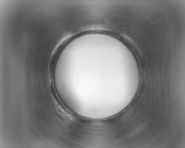 X0000052971408200508051002