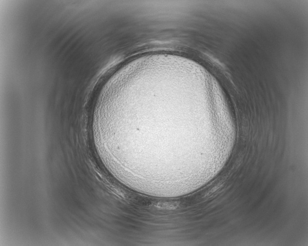 X0000052971411200508051002