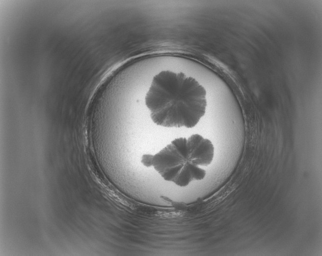 X0000052971415200508051002