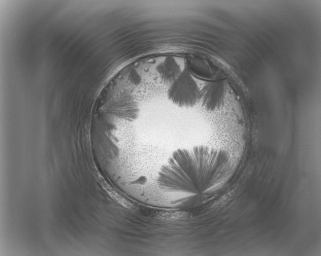 X0000052971417200508051002