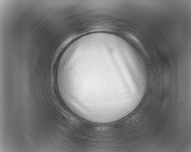 X0000052971419200508051002