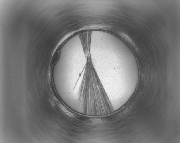 X0000052971420200508051003