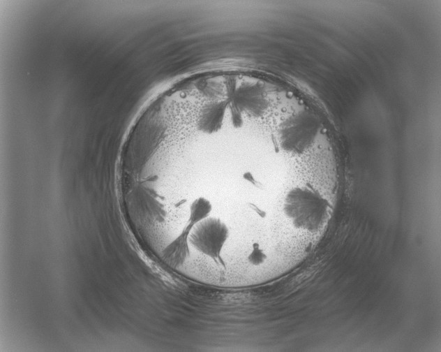 X0000052971421200508051003